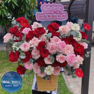 HG025 - Mộng Mơ