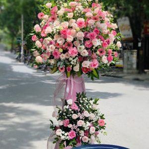 Tỏa Sáng - HKT101