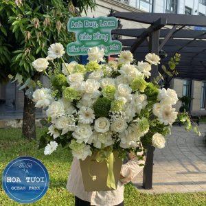HG019 - Hồng Cam