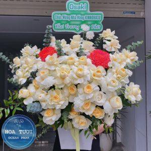 HG029 - Suối Nguồn