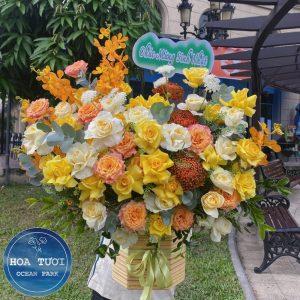 HG032 - Xinh Xắn