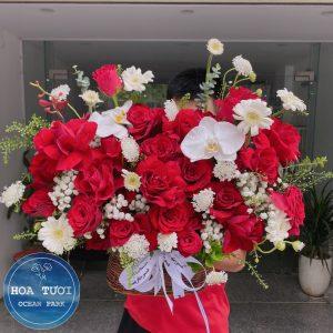HG017 - Đa Sắc