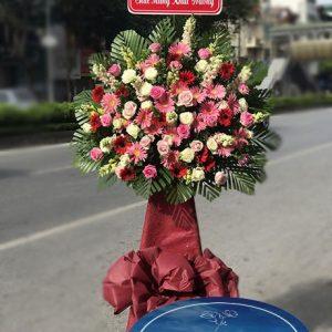 Tấn Lộc - HKT046