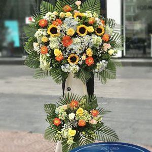 Tấn Tài - HKT023