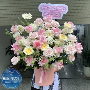 HG026 - Nắng