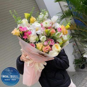 HB017 - Màu Nắng