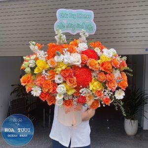 HG005 - Dịu Êm
