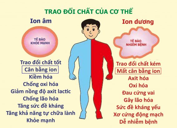 Mua Máy Tạo Oxy Chính Hãng Tại Cát Linh Hà Đông 13 Chế độ công nghệ ION âm (-) nhân tạo (ANION) làm chất lượng oxy sạch tốt hơn.