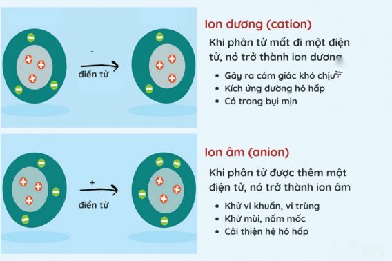 Mua Máy Tạo Oxy Chính Hãng Tại Cát Linh Hà Đông 14 Cải thiện chức năng tuần hoàn não ở những người bị sa sút trí tuệ và các bệnh hô hấp khác