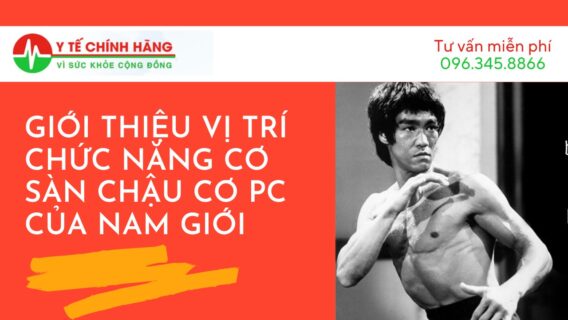 Dụng Cụ Tập Kegel Private Gym