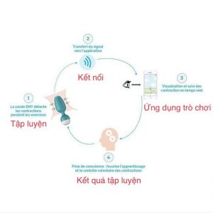 Máy Emy Tập Kegel 15 Máy Emy Tập Kegel