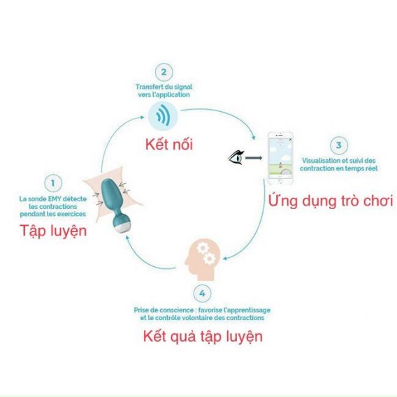 Top 5 Máy Tập Kegel Cho Nữ 27 thiet-bi-ytechinhhang-quy-trinh-tap-kegel-emy