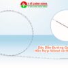 Dây Dẫn Đường Guidewire Zebra Hydrophilic