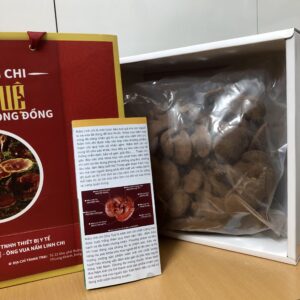 Nấm Linh Chi Đỏ Hồng Chi Hộp 500 Gram 6 ytechinhhang nam linh chi do 500gram2