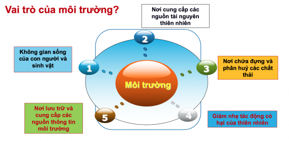 vai trò của môi trường là gì?