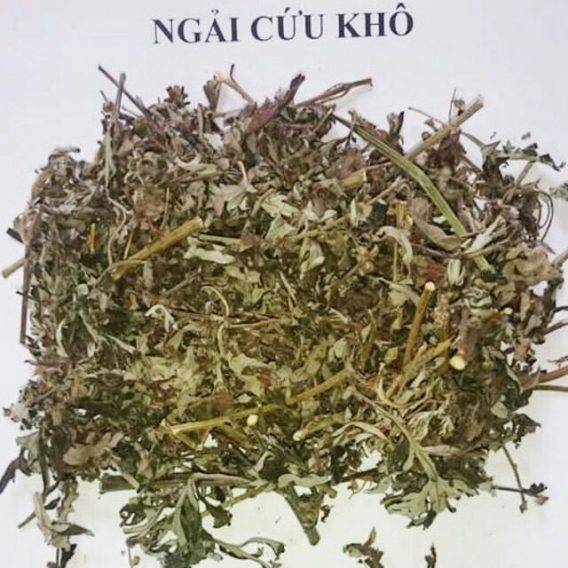 Các Phương Pháp Ngâm Chân Phổ Biến Là Gì? 11 Lấy 50-100 gam lá ngải cứu khô (tùy lượng nước, không có tiêu chuẩn khắt khe), đun nước sôi trước, sau đó cho nước lạnh vào hoặc ngâm chân sau khi nước hạ nhiệt, nếu thấy khó chịu trong người hoặc có triệu chứng cảm lạnh thì ngâm lá ngải cứu.