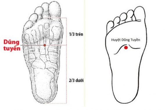 Kiến Thức Cơ Bản Về Ngâm Chân