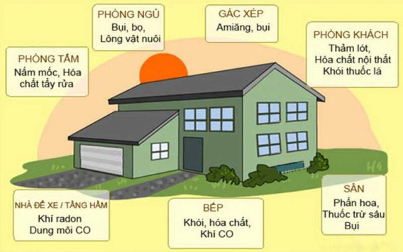 Ô Nhiễm Không Khí Trong Nhà và Sức Khỏe Con Người