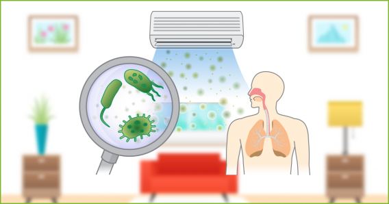 Ô Nhiễm Không Khí Trong Nhà và Sức Khỏe Con Người
