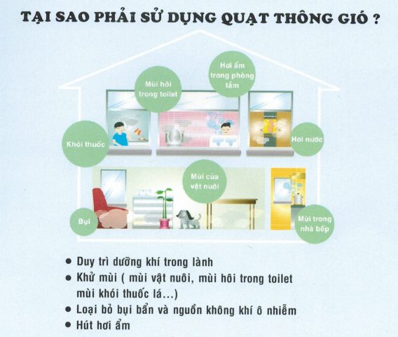 Ô Nhiễm Không Khí Trong Nhà và Sức Khỏe Con Người