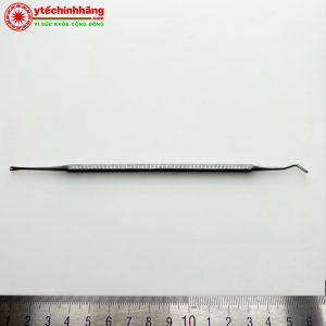 Cây Ấn Dây Cung