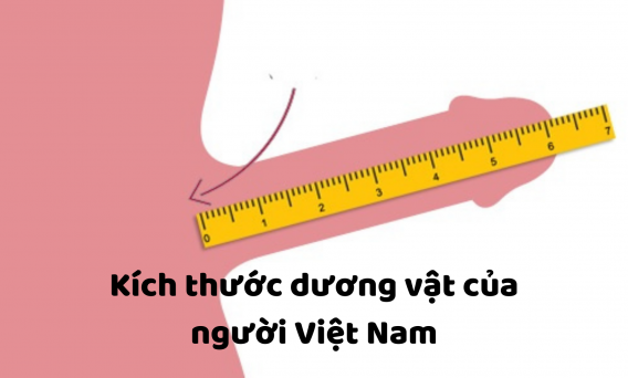 da quy dau 41