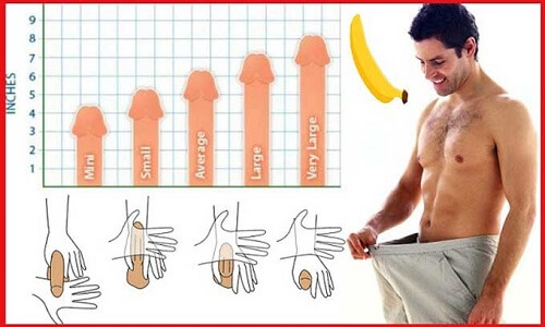Phương Pháp Cải Thiện Sinh Lý Nam Giới 10 da quy dau 46