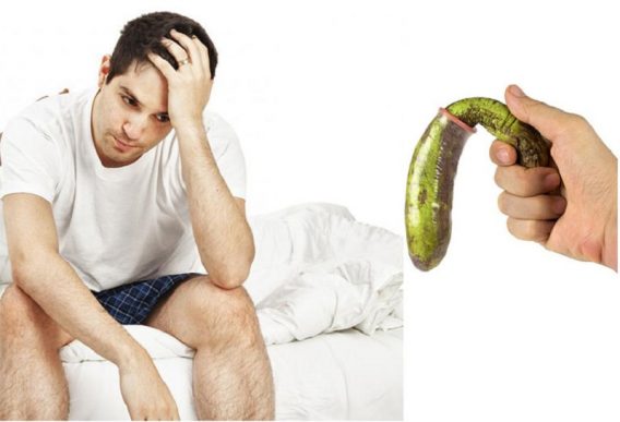 Phòng Tránh Suy Giảm Chức Năng Sinh Lý Nam Giới 17 da quy dau 61