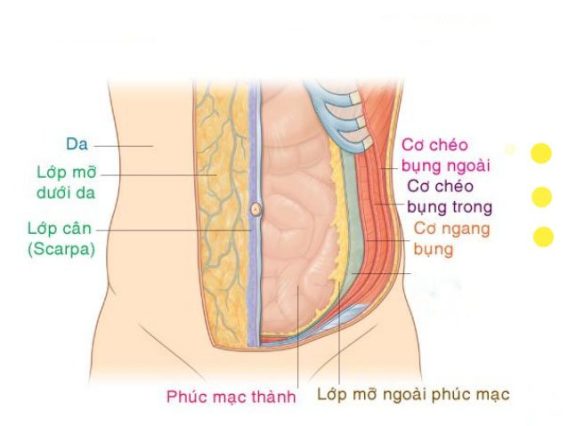 8 Thay Đổi Cơ Thể Mẹ Sau Sinh 9 20190928 042122 378301 co bung.max 1800x1800 1