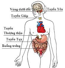 8 Thay Đổi Cơ Thể Mẹ Sau Sinh 8 20200221 155656 654614 tai xuong.max 1800x1800 1