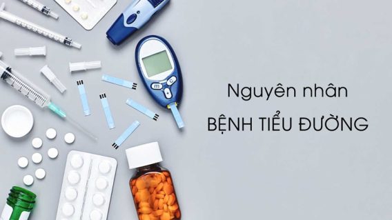 nguyen nhan mac benh tieu duong medihome