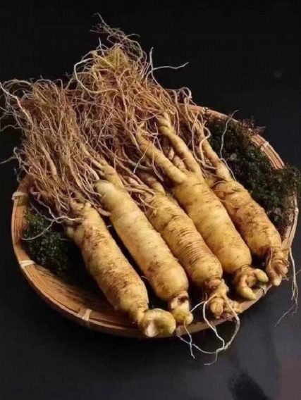 Ẩm Thực Tốt Cho Bà Bầu 14 Ẩm Thực Tốt Cho Bà Bầu