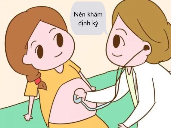 HCG Và Các Giai Đoạn Thai Kỳ 4 HCG Và Các Giai Đoạn Thai Kỳ