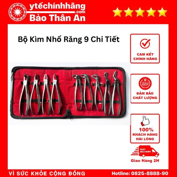 Bo Kim Nho Rang 9 Chi Tiet 2