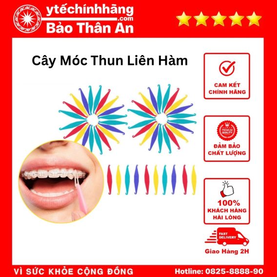 Cay Moc Chun Lien Ham Nieng Rang 4