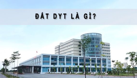 dat dyt la gi