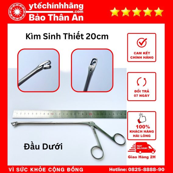 Kim Sinh Thiet 20cm 1