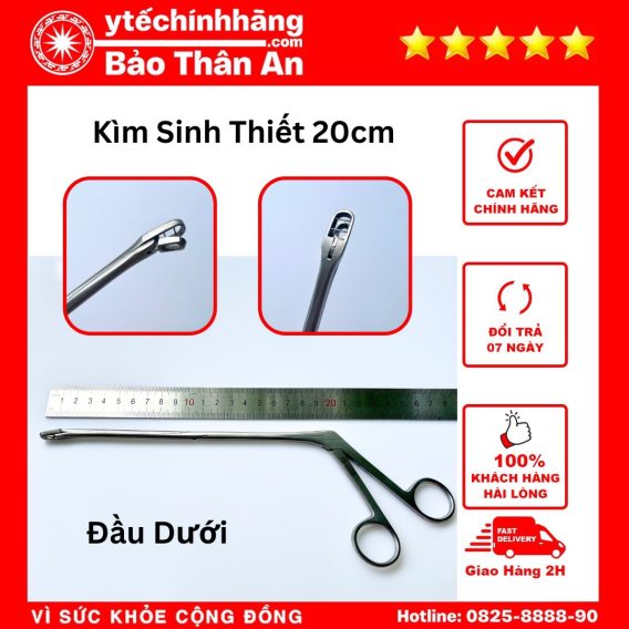 Kim Sinh Thiet 20cm