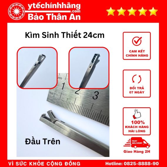Kim Sinh Thiet 24cm 2