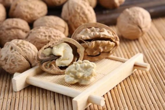 5 Loại Thực Phẩm Cho Người Cao Tuổi Vào Mùa Xuân 12 5 Loai Thuc Pham Cho Nguoi Cao Tuoi Vao Mua Xuan 4