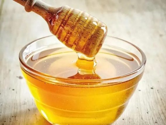 5 Loại Thực Phẩm Cho Người Cao Tuổi Vào Mùa Xuân 9 5 Loai Thuc Pham Cho Nguoi Cao Tuoi Vao Mua Xuan 5