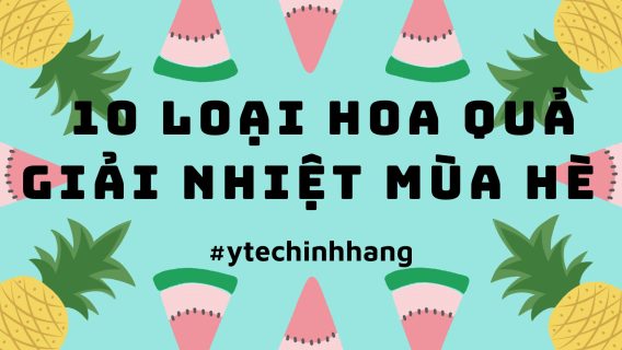 10 Loai Hoa Qua Giai Nhiet Mua He