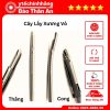 Cay Lay Xuong Vo Cong Thang 1