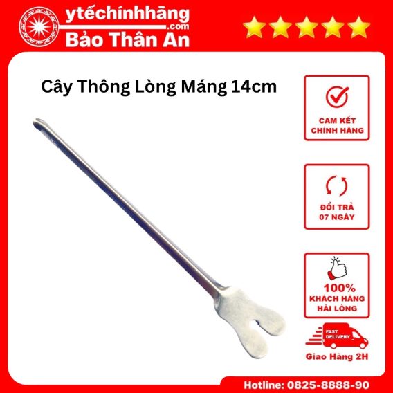 Cay Thong Long Mang 1
