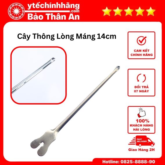 Cay Thong Long Mang 2