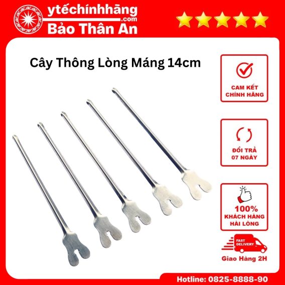 Cay Thong Long Mang 3