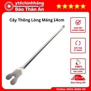 Cay Thong Long Mang