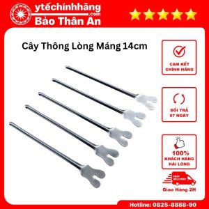 Cay Thong Long Mang 4