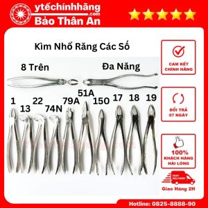 Kìm Nhổ Răng Người Lớn