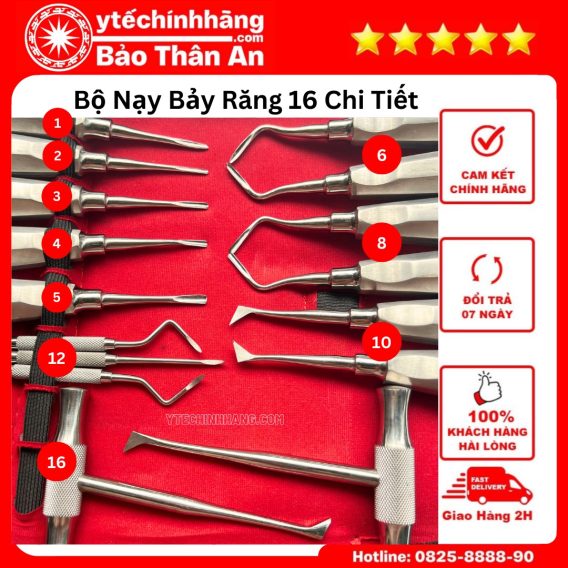 Bo Nay Bay Rang 16 Chi Tiet 1